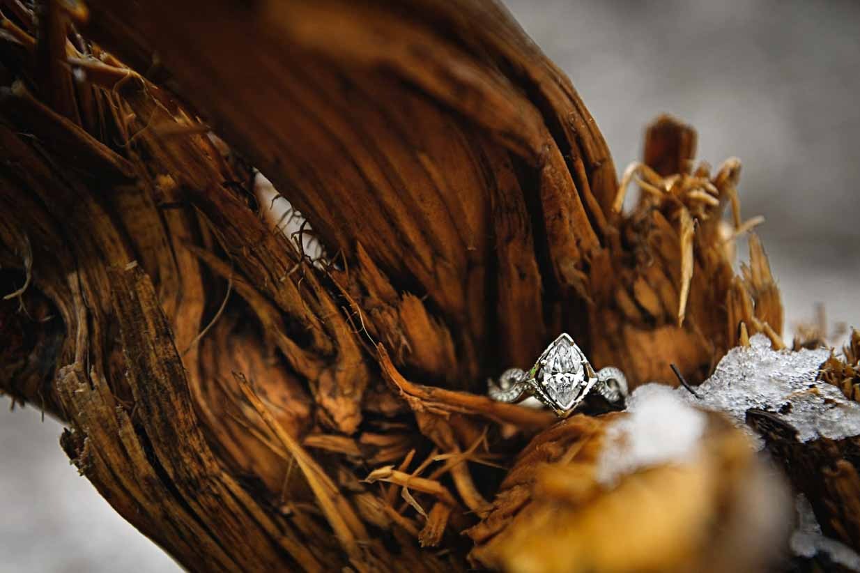 Ring in Wood Stump | Calgary Engagement Photographer | SLIVER Photography