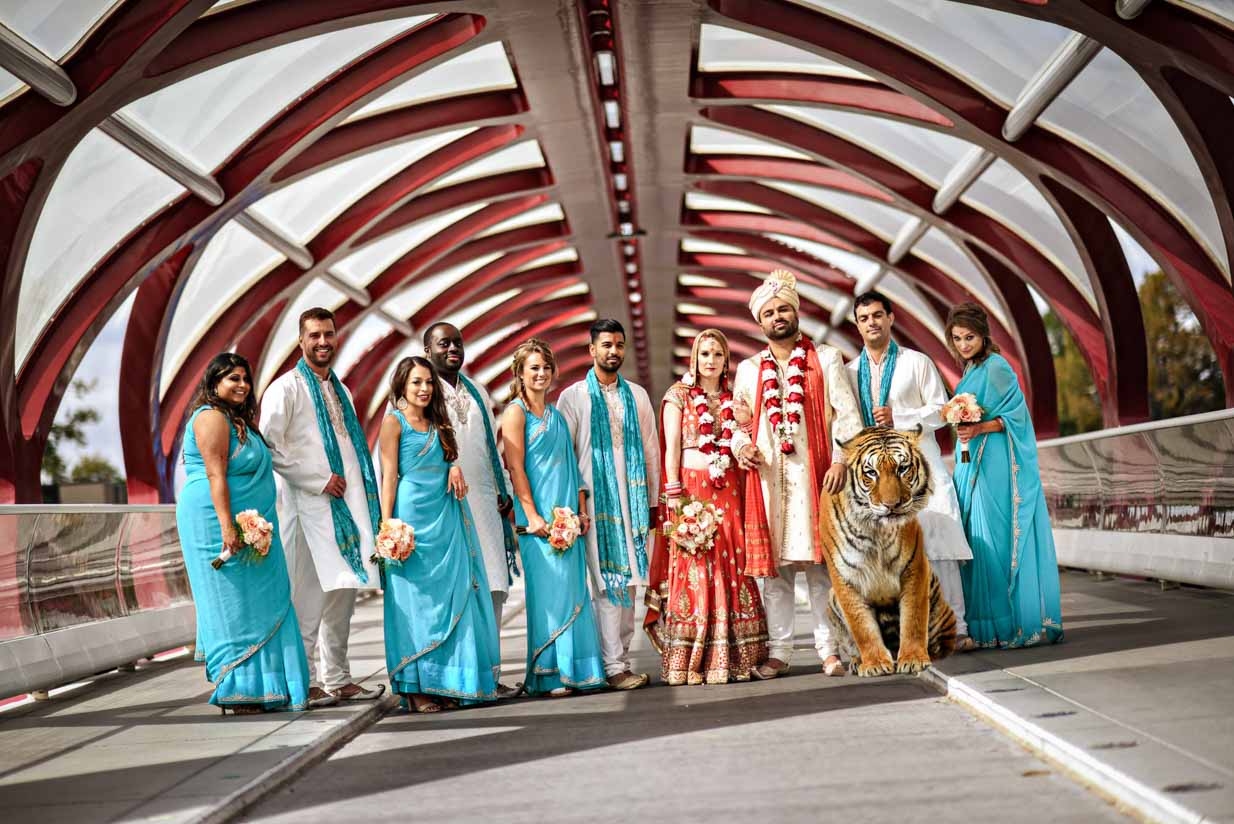 Indian Bridal Party with Tiger | Destination Wedding Photographer | SLIVER Photography