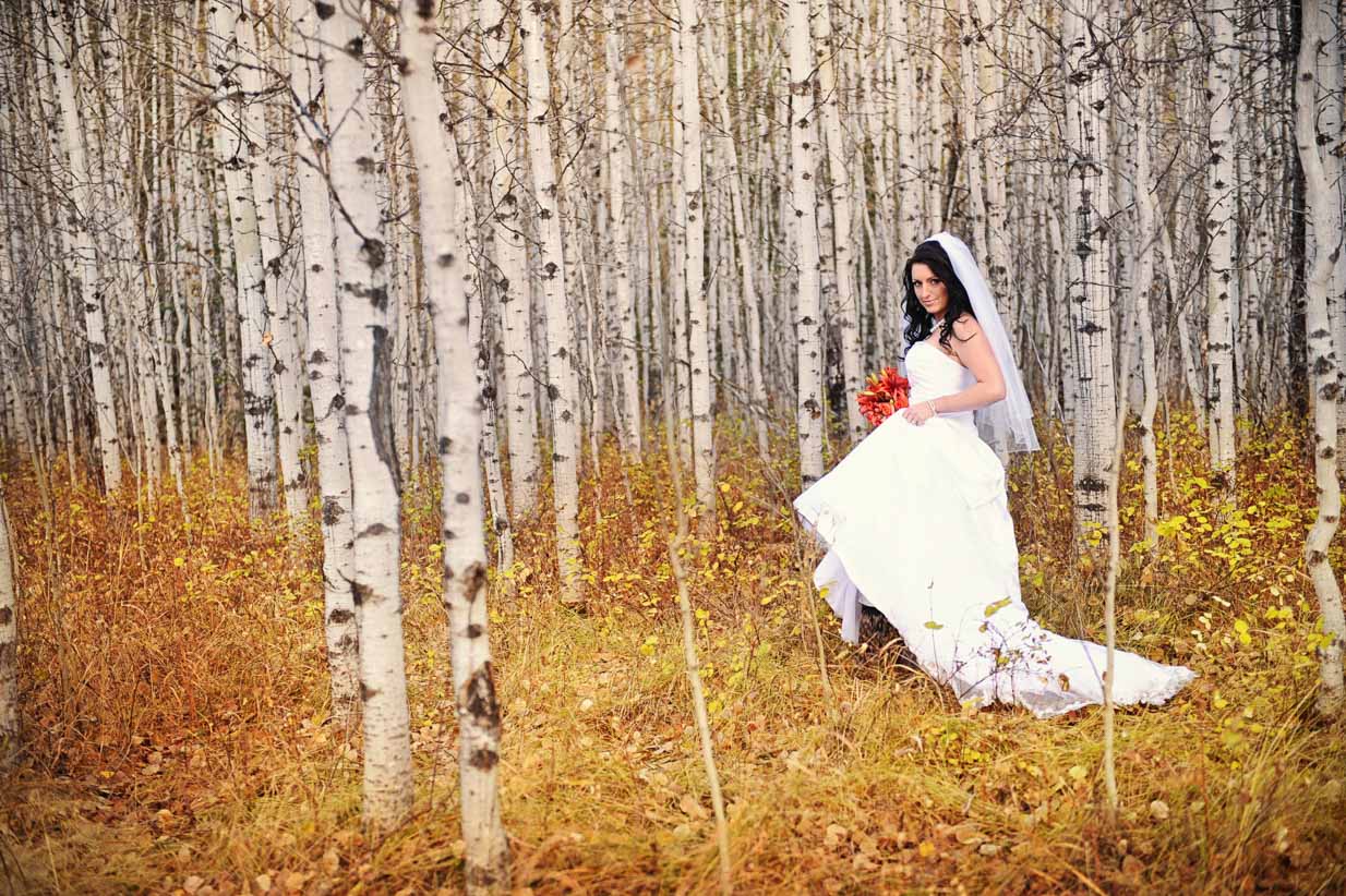 Bride and Birch | Destination Wedding Photographer | SLIVER Photography
